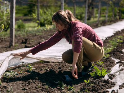 FAO envisions a sustainable agricultural sector in Europe and Central Asia