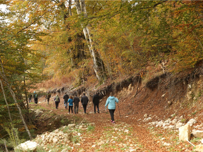 FAO OCOP Chestnut Route Albania