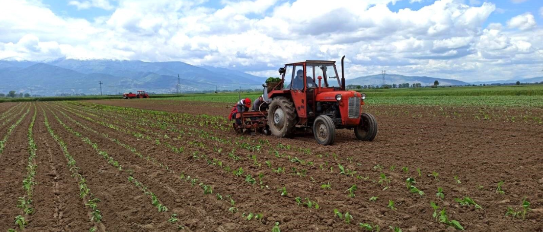 FAO project targets resolving public-private co-ownership of agricultural land and improved agricultural land management