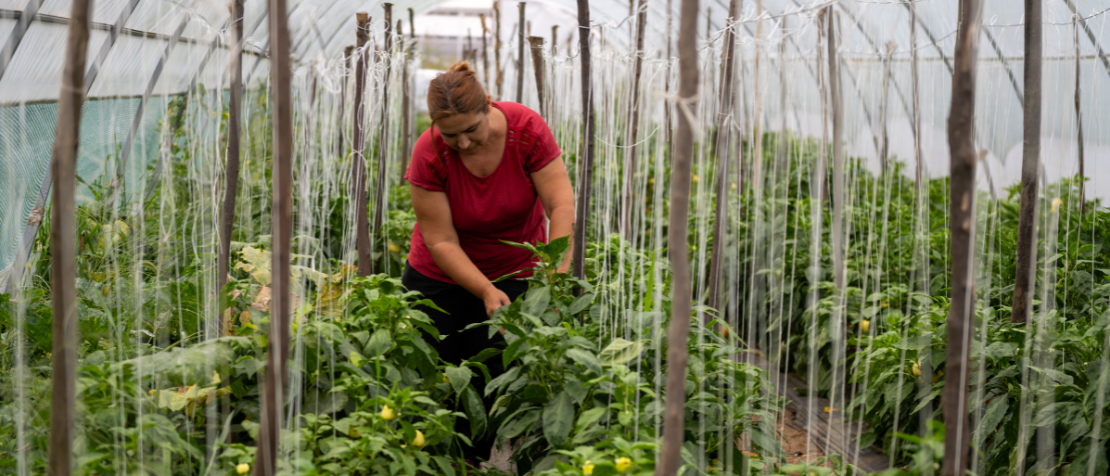 FAO: Rural women are key to building resilience in agrarian areas