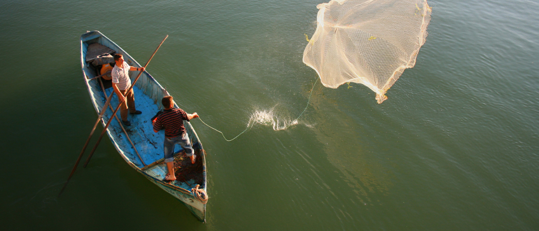 Fisheries experts join forces as Fish Forum 2024 scales up science and innovation