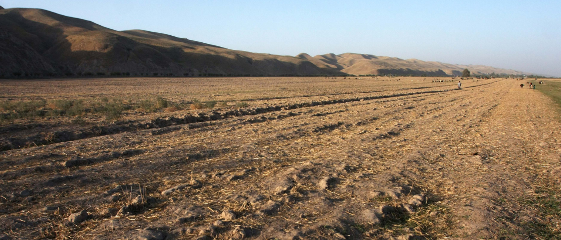 From farmers to government officials — everyone benefits from a digital land cadastre