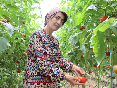Uzbekistan greenhouse farmer RU
