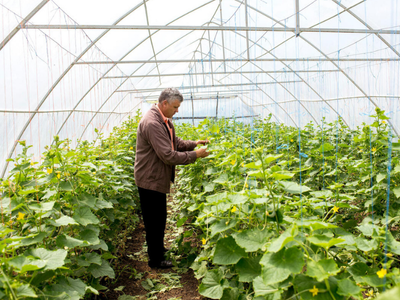 greenhouse Republic of Moldova