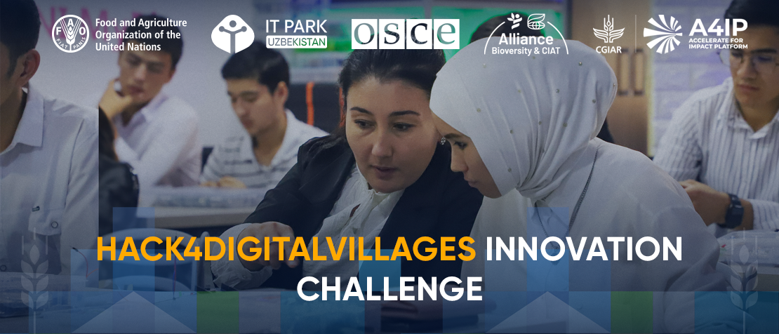 Hack4DigitalVillages innovation challenge