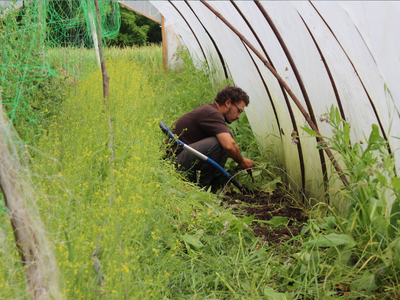 organic farm Hungary RU