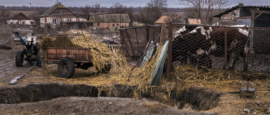 In Berlin, FAO reaffirms commitment to improving Ukrainian farmers’ resilience and recovery