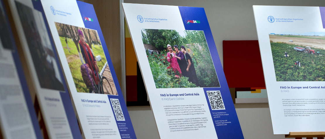 In Brussels, Hungarian Presidency of the Council of the EU showcases work of FAO in Europe and Central Asia