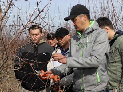Kyrgyz horticulture training