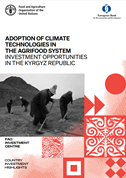kyrgyz