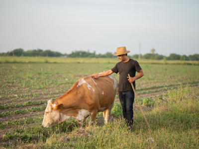 livestock farmer Azerbaijan