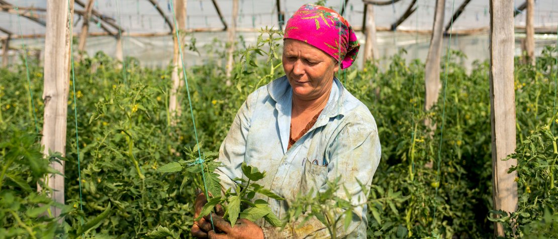 More emergency relief for Moldovan farmers