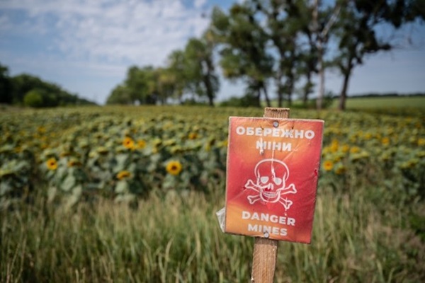 Украина: ФАО и ВПП объединяют усилия, чтобы очистить сельскохозяйственные земли от последствий войны и помочь фермерам возобновить производство