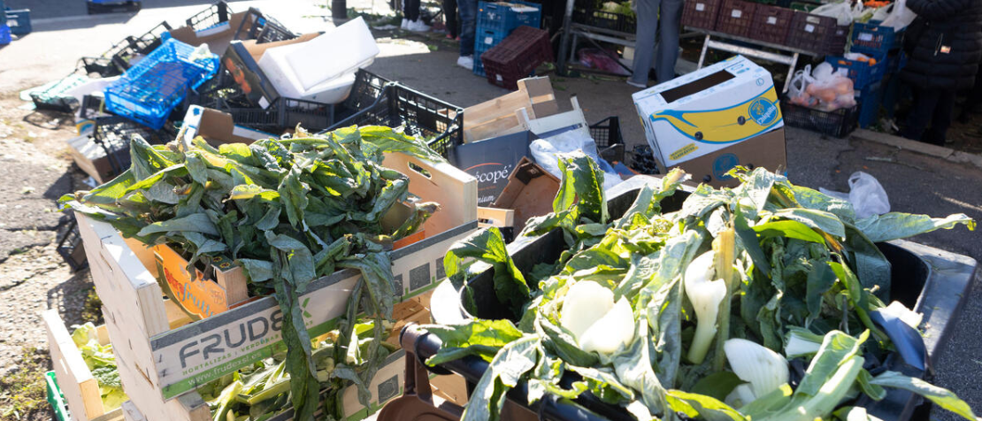 Recover and redistribute: Georgia’s cities lead food loss & waste fight