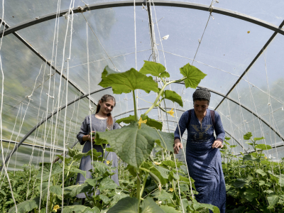 Regional workshop in Bishkek promotes uptake of climate-smart agricultural practices