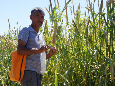 Uzbek farmer