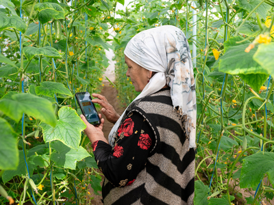 FAO Smart Farming project