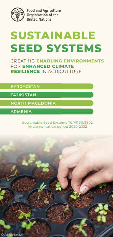 sustainable.seed.system