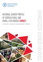 Turkey_gender