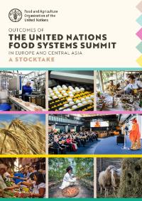 un.summit.stocktake