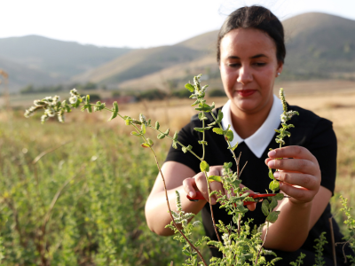 Using the power of youth to revive rural areas