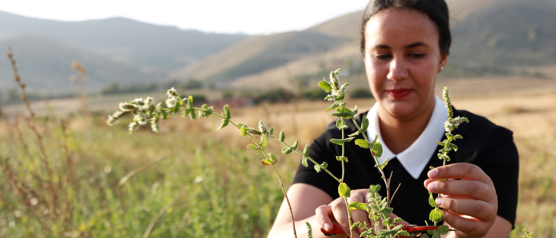 Using the power of youth to revive rural areas