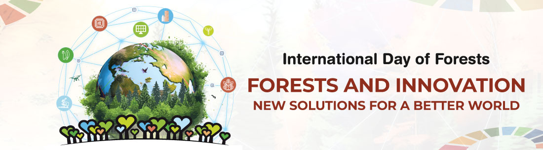 Conference: Forests and Innovation. New solutions for a better world