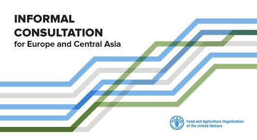 Informal Consultation for Europe and Central Asia