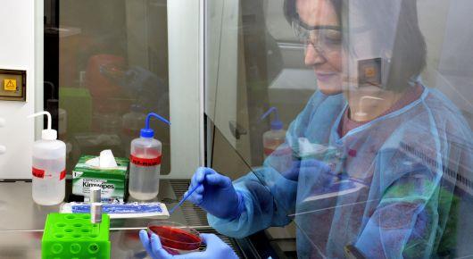 Консультативное совещание по созданию Региональной лабораторной сети по устойчивости к противомикробным препаратам в пищевой продукции и сельском хозяйстве