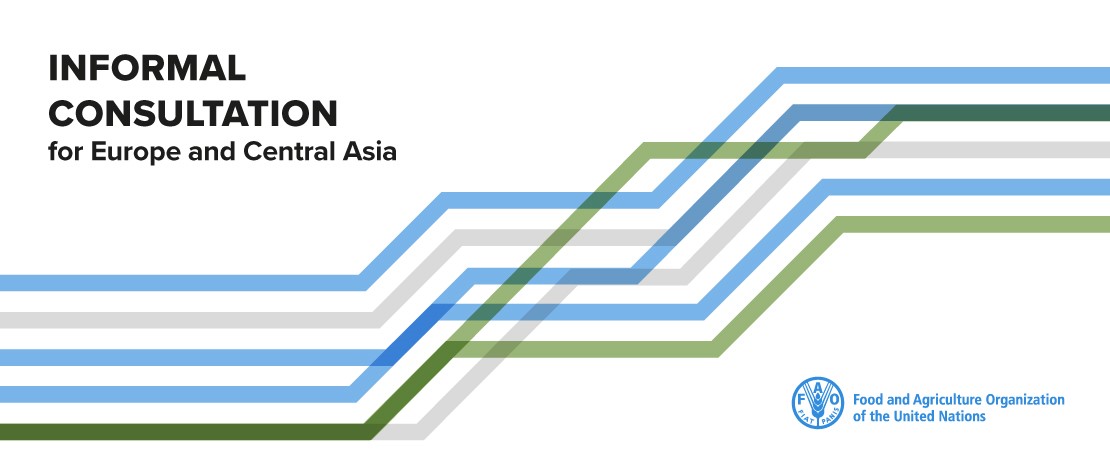 Informal Consultation for Europe and Central Asia 2023