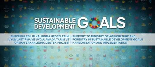 Project launch: “Support to the Ministry of Agriculture and Forestry in SDGs’ Harmonization and Implementation”