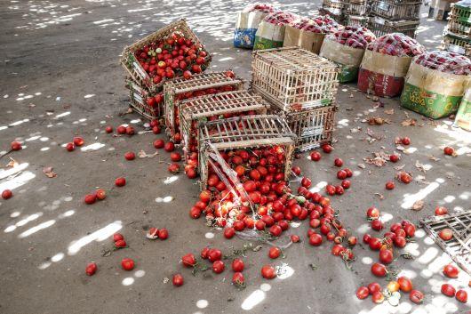 FAO webinar offers solutions for reducing food waste and improving food security amidst the pandemic