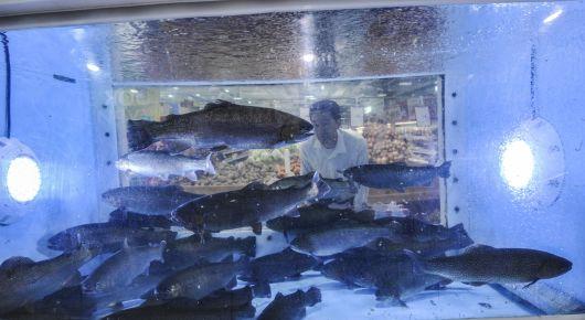 Regional meeting aims to strengthen the role of fisheries and aquaculture