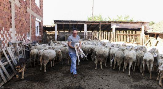FAO: Family farms are key to sustainable future in Europe and Central Asia
