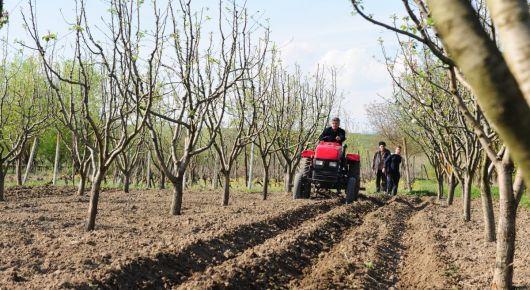 FAO, EU, and Georgia’s ministry launch $1 million grant for farmers to fight COVID-19 crisis