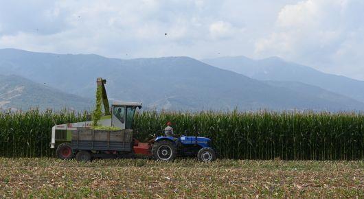 Experts examine ways to reduce harvest and post-harvest food losses
