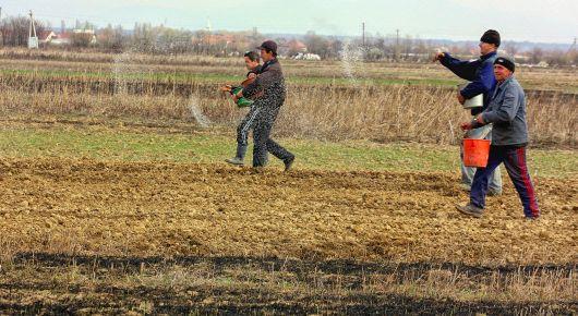 EBRD and FAO welcome landmark Ukrainian legislation on agricultural cooperation