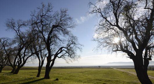 Georgia eyes becoming a sustainable agritourism destination