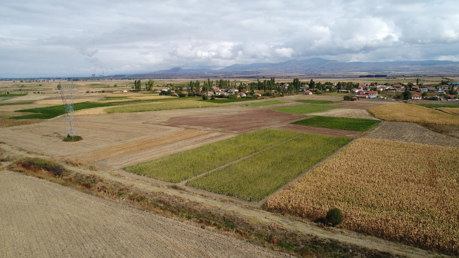 Rural communities in North Macedonia to receive boost through new FAO project
