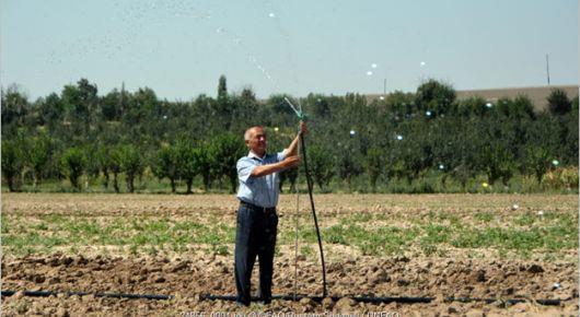 Stronger agricultural extensions can boost crop production in Central Asia