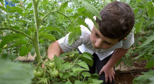 FAO event set the course for a long and nourishing life