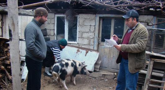 Experts join forces to prevent African swine fever from entering the Balkans