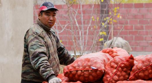 Small producers and vulnerable populations could benefit from food hubs in Kyrgyzstan