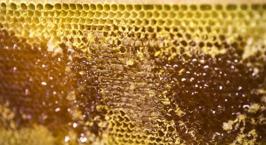 The buzz around Turkish pine honey