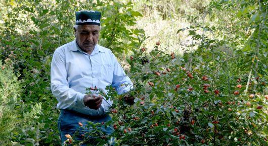 ФАО: потенциал лесного образования изменит мир к лучшему