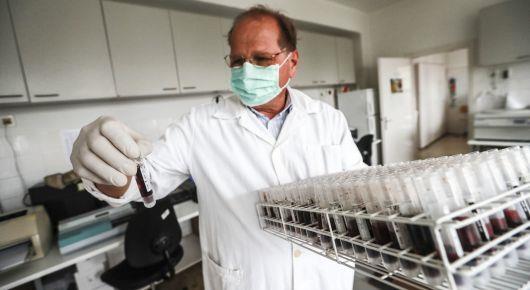 FAO launches African swine fever preparedness online course for Europe