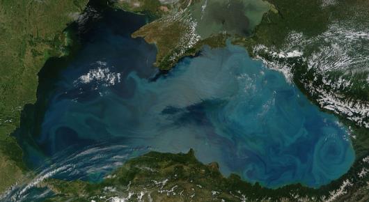 FAO pledges funds to help Black Sea region develop agrifood trade