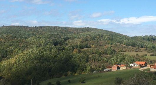 With forests, Kosovo* is getting closer to sustainable, inclusive development