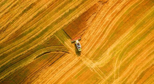 Grain processors gather for industry forum in Ukraine