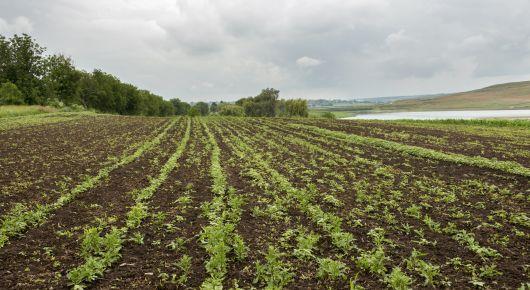 Sustainable land and water use in the Republic of Moldova